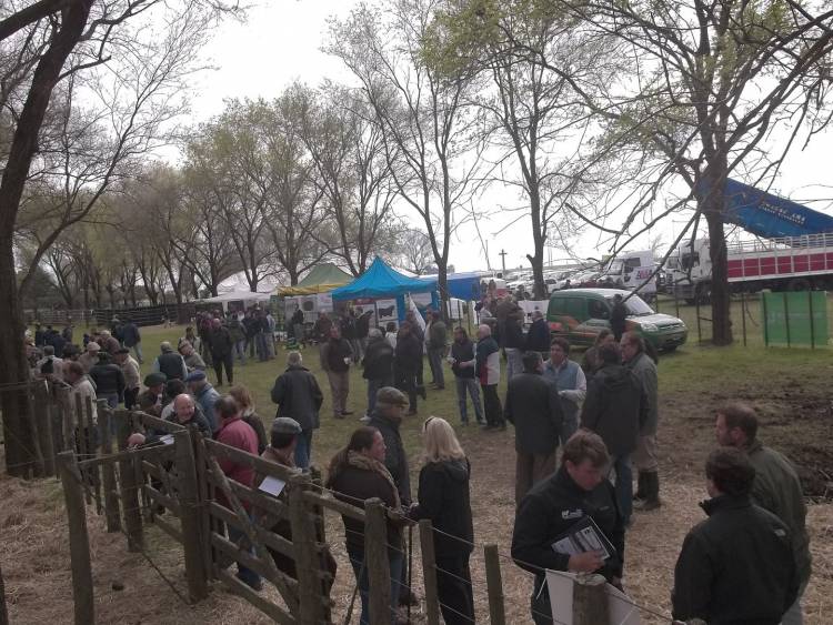 Remate en la Rural