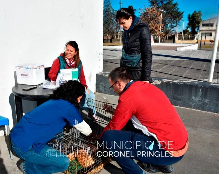Campaña de Vacunación Antirrábica