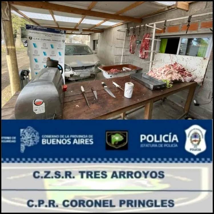 El Comando de Patrulla Rural Coronel Pringles logra secuestro de carne y derivados en allanamiento exitoso
