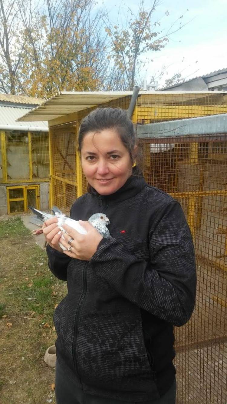 Colombófilas: El Ganador fue el Palomar Los Vecinos de Abel Aguirrezabala y Nancy Fritz se quedó con el Campeonato Preparación