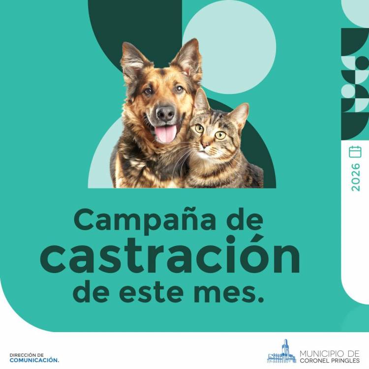 Campaña de castración y vacunación antirrábica